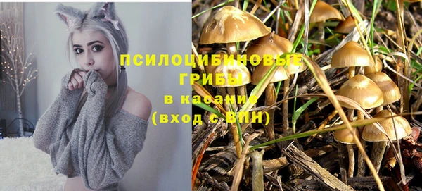 каннабис Зерноград